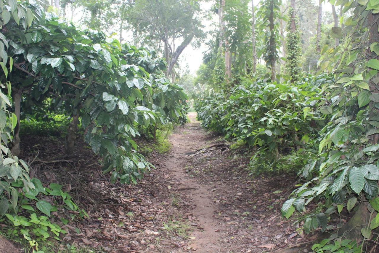 Whistling Woods Farm Stay Kushālnagar Kültér fotó