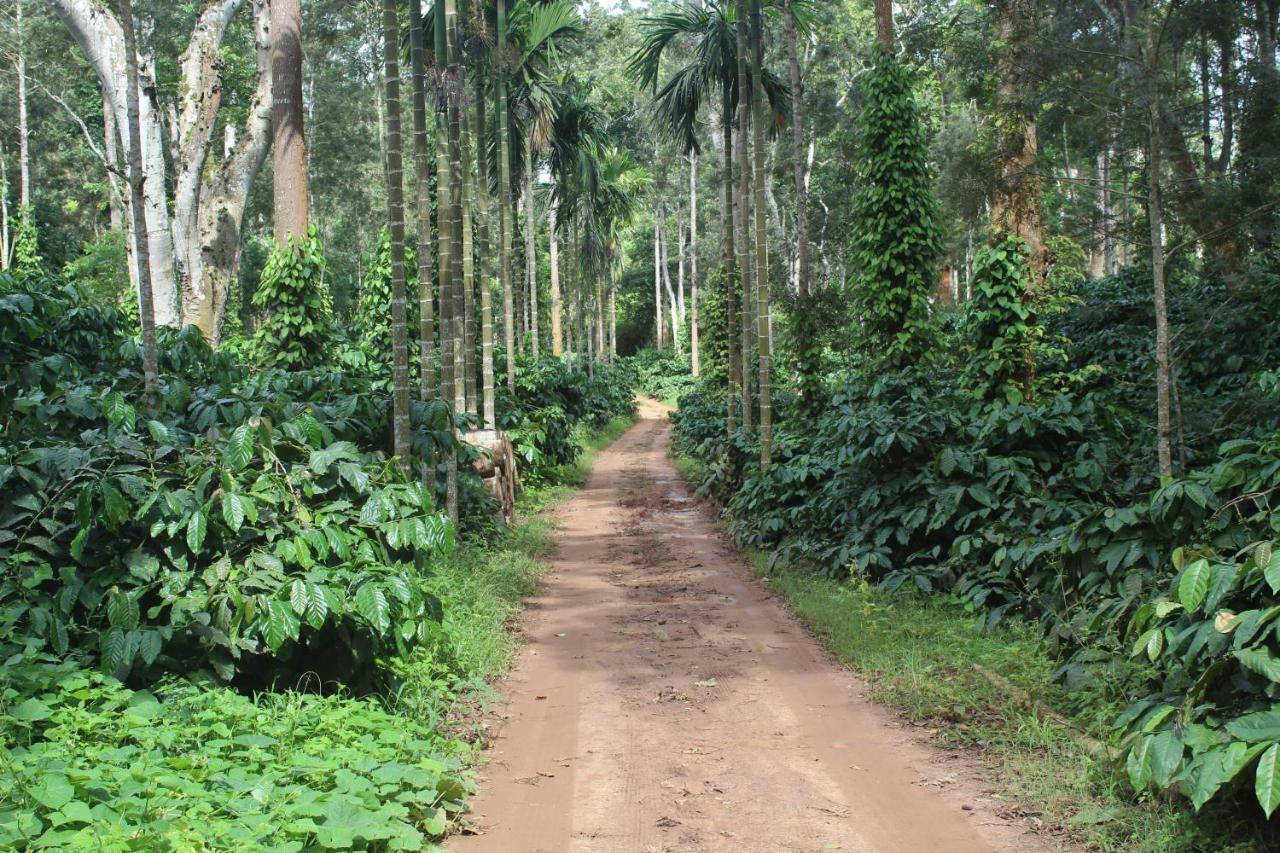 Whistling Woods Farm Stay Kushālnagar Kültér fotó