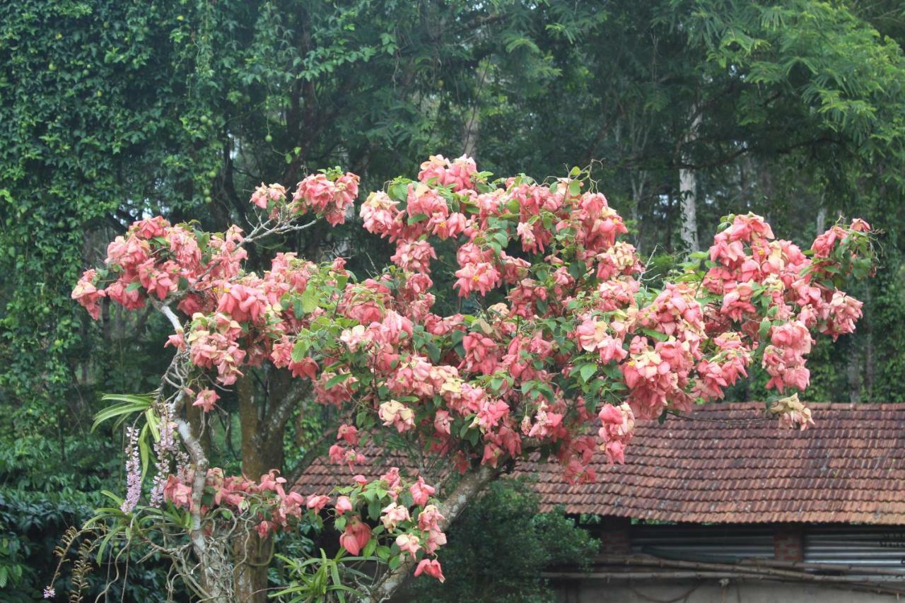 Whistling Woods Farm Stay Kushālnagar Kültér fotó